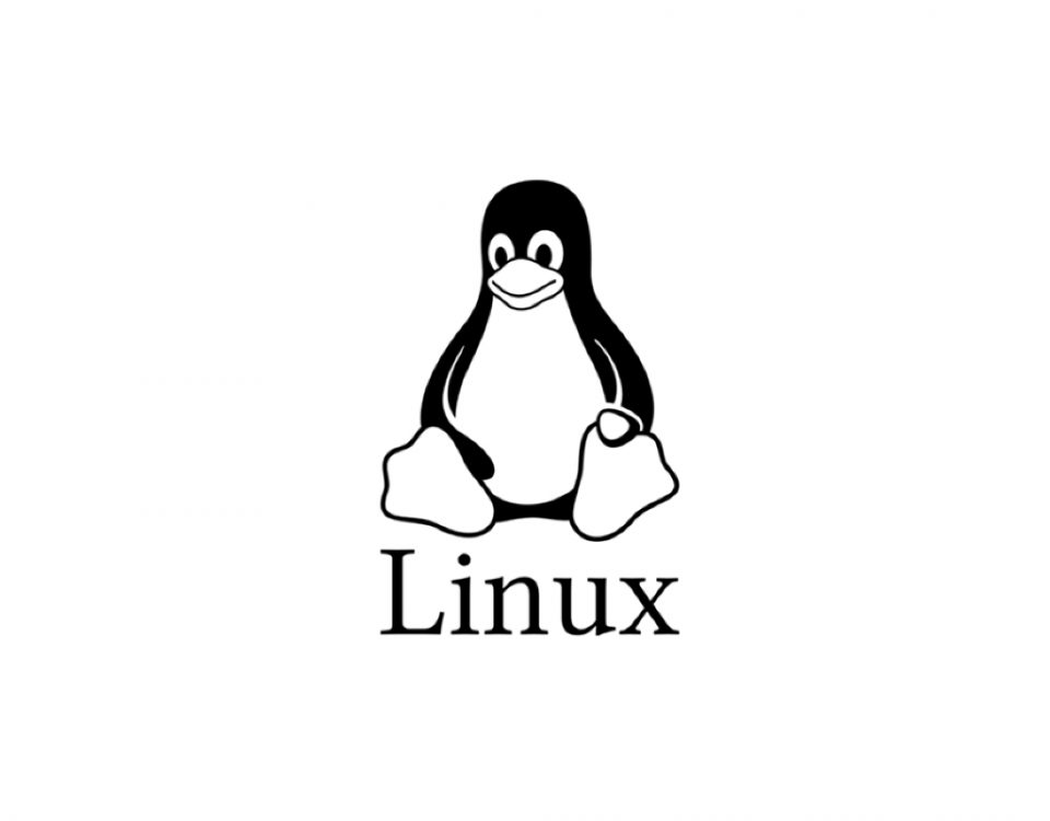 Cómo ver el tamaño de un directorio desde la consola en Linux