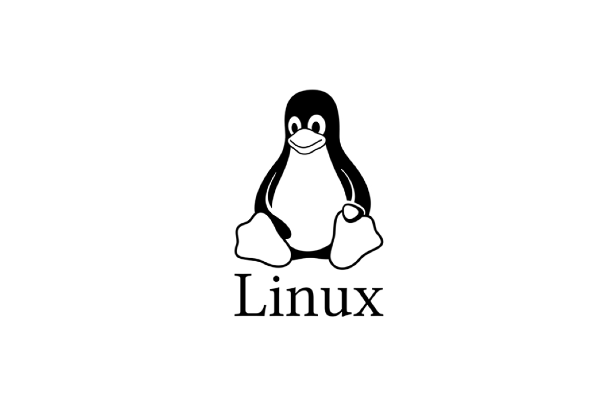 Cómo ver el tamaño de un directorio desde la consola en Linux