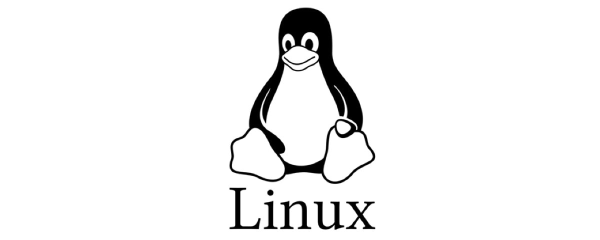 Cómo instalar la extesión zip de PHP en CentOS